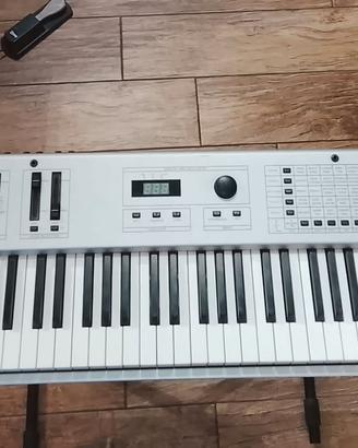 Tastiera Piano digitale eletronica Viscount Viva X
