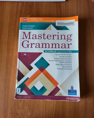 Mastering Grammar