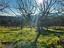 Immagine 18