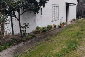 RIF 289 Casa singola ad Archi (CH)