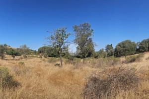 TER. AGRICOLO A QUARTUCCIU