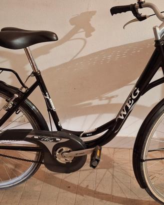 Bicicletta tipo olandese weg