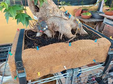 Tappetino in fibra di cocco x bonsai