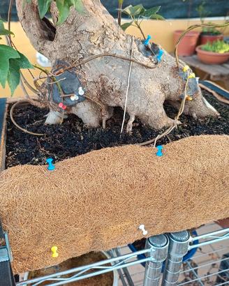 Tappetino in fibra di cocco x bonsai