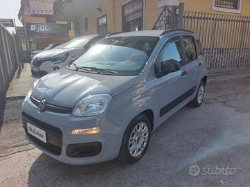 Fiat Panda 1.2 EasyPower Easy GPL 69cv my19