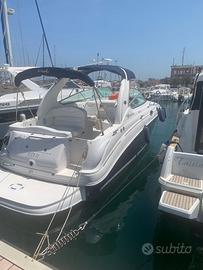 Sea Ray Sundancer 315