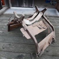 Basto x asino 1 guerra mondiale