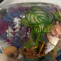 Boccia acqario 20 litri con accessori