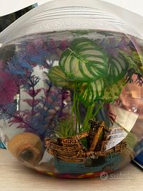 Boccia acqario 20 litri con accessori