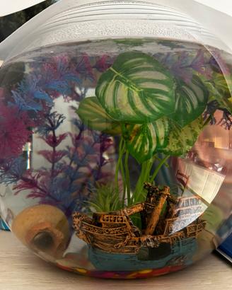 Boccia acqario 20 litri con accessori