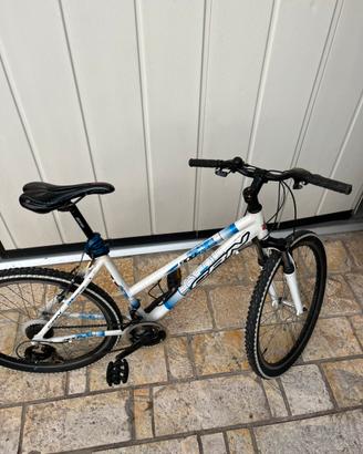 Bici da ragazzo