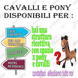 Cavalli per strutture ricettive in Sardegna