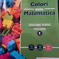 9788849421729 Colori della matematica vol.1