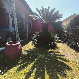 Appartamento a marina di Massa