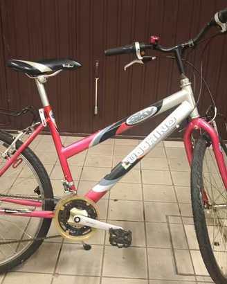Moutain Bike 26