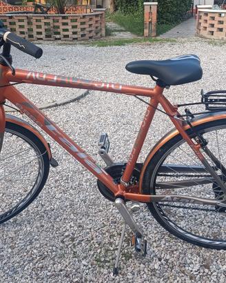Atala Discovery 21 rapporti