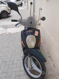 cinquantino