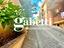 Immagine 16