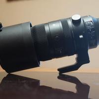 Sigma 150-600mm DN Sony