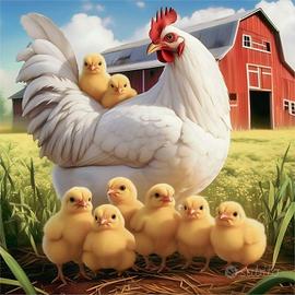 Dall' uovo alla gallina - ovaiole bianche & rosse