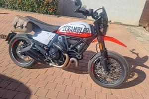 ducati scrambler 