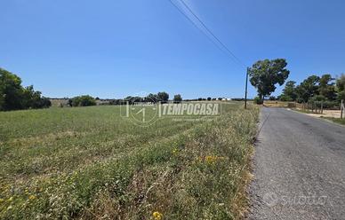 Terreno agricolo