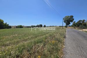Terreno agricolo