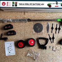 Taglia Erba completo di accessori 