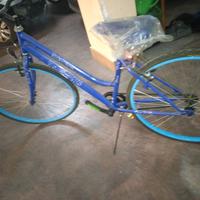 BICICLETTA BACI PERUGINA 