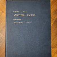 Indice analitico - Testut e Latarjet - Anatomia
