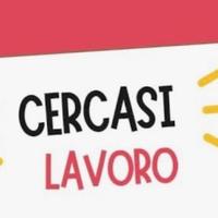 Pulitore Aiutante Autista