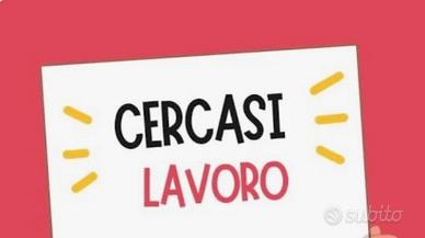 Pulitore Aiutante Autista