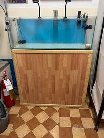 Acquario Marino e dolce