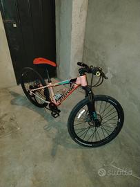 bici Cannodale