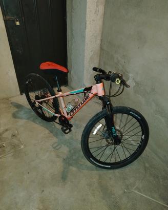 bici Cannodale