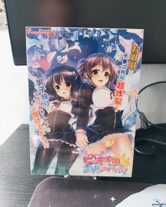 Visual Novel Eroge Nukige B**ch Gakuen