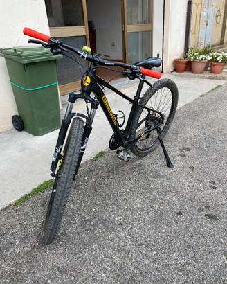 Mountain bike lombardo