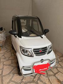 Auto elettrica disabili