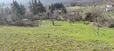 Terreni in parte edificabile