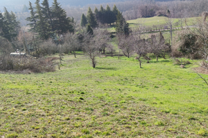 Terreni in parte edificabile