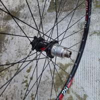 cerchi 29 mtb