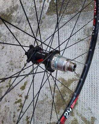 cerchi 29 mtb