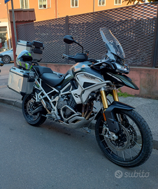 Tiger 1200 rally pro