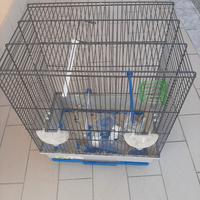gabbia per uccellini