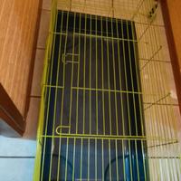 Gabbia roditori come nuova