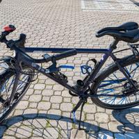 e bike Analog Motion