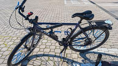 e bike Analog Motion