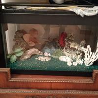 ACQUARIO