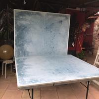 Tavolo ping pong