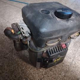 Motore lombardini 4 tempi benzina